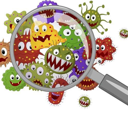home bacteria