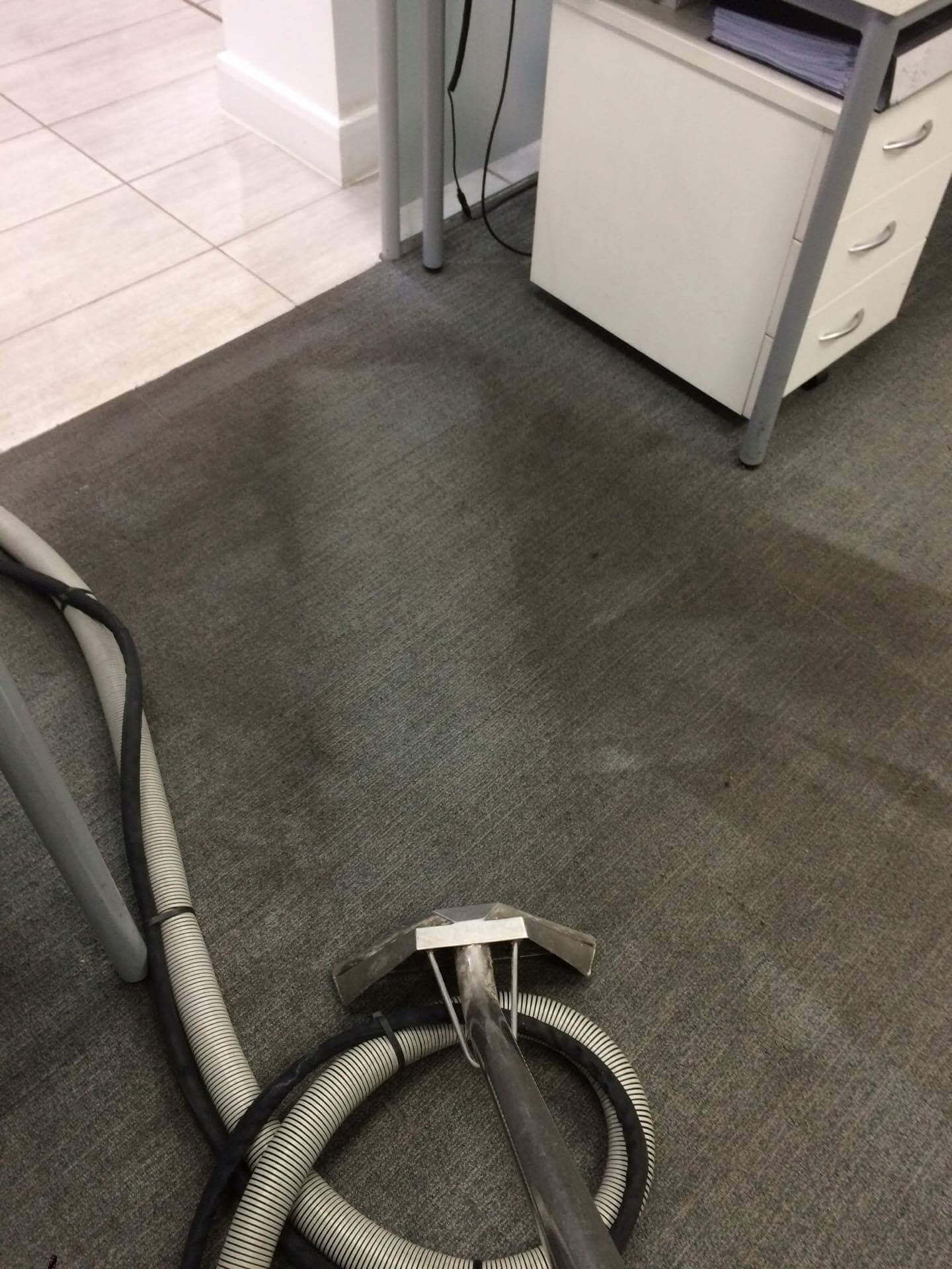 commercial carpet cleaning